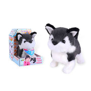 Electric pet plush dog toy