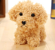 Pet doll teddy dog toy