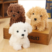 Pet doll teddy dog toy