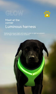 LED Luminous Dog Harness Led USB Charging Dog Chest Strap Vest Pet Safety Reflective Harness Pet Vest For Puppy Large Dog Pet Products